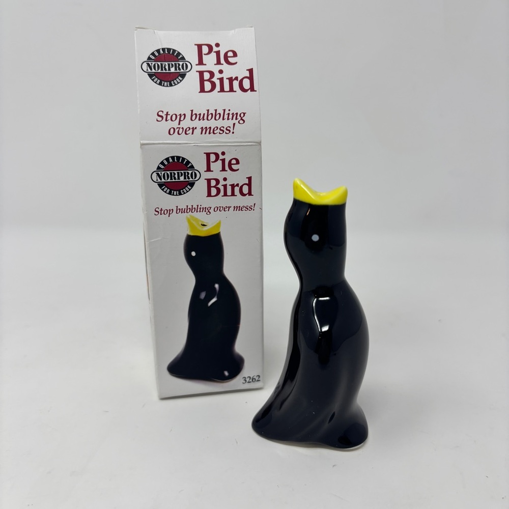 Black and Yellow Pie Bird
